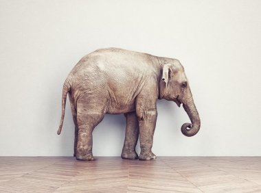 文章样式五：视频列表